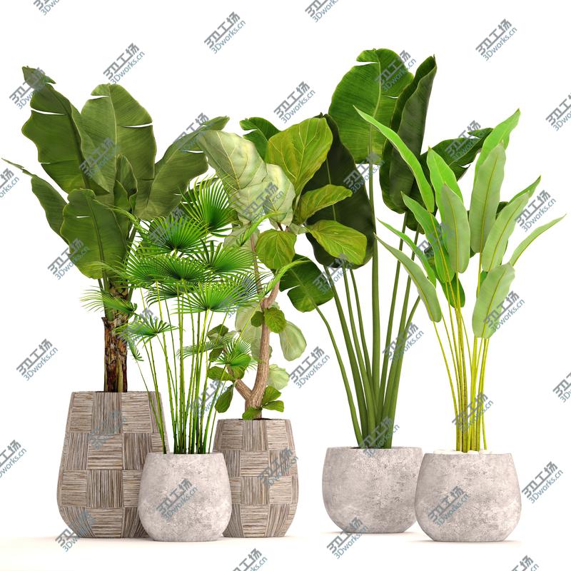 images/goods_img/202104022/Collection plants 3D model/2.jpg